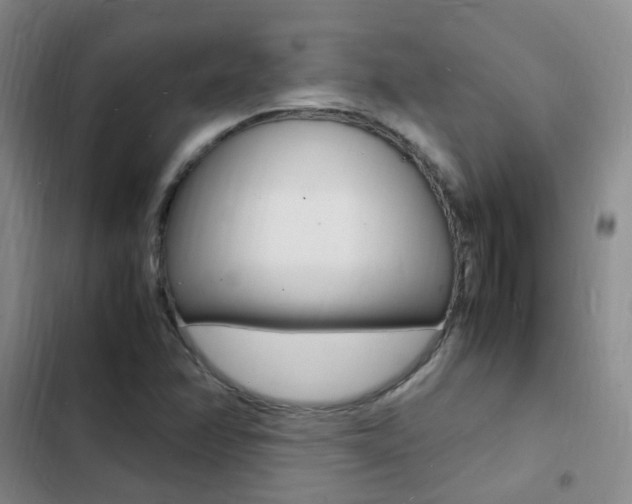 X0000103251358200808281047
