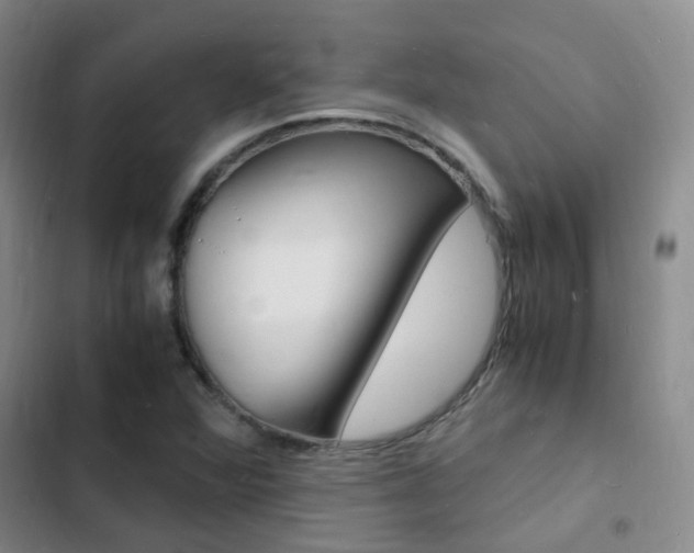 X0000103251360200808281047