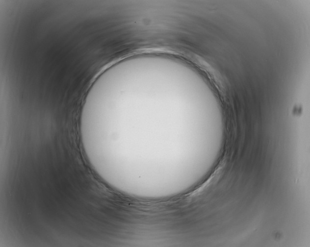 X0000103251361200808281047