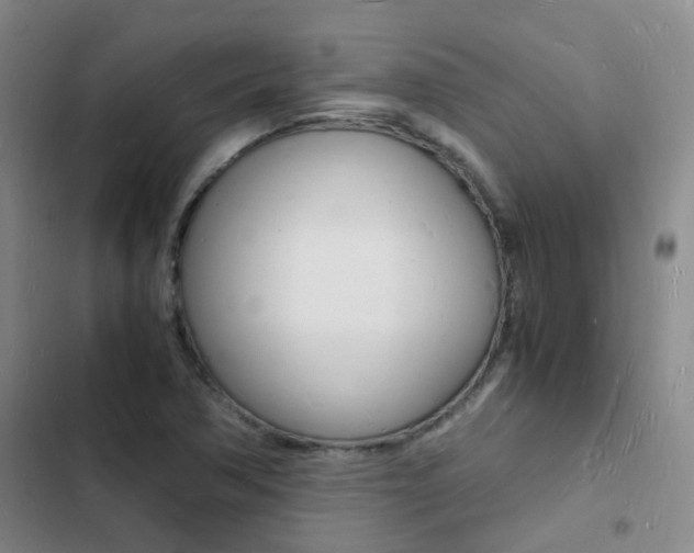 X0000103251362200808281047
