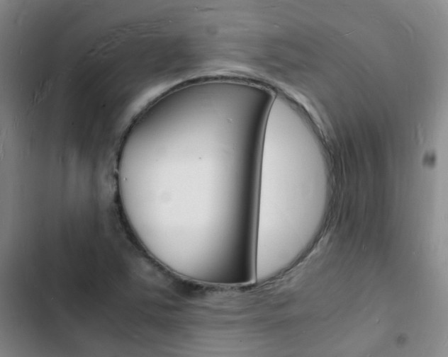 X0000103251363200808281047