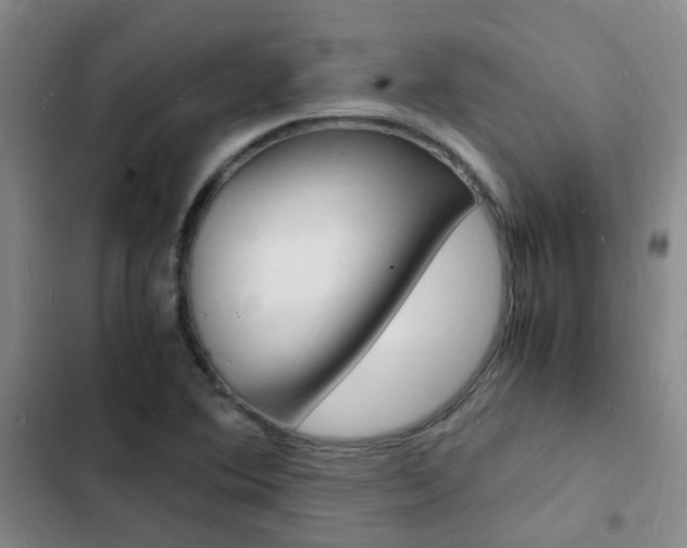 X0000103251364200808281047