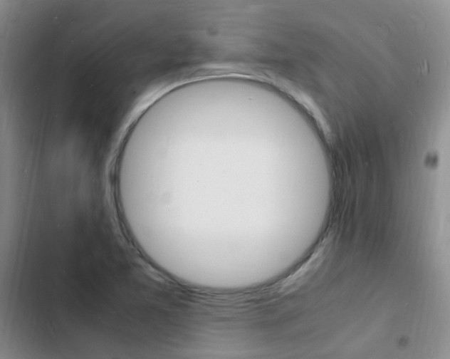 X0000103251365200808281047