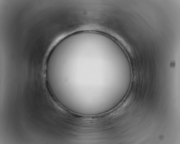 X0000103251366200808281047