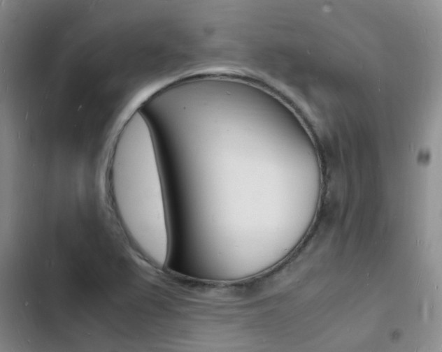 X0000103251367200808281047