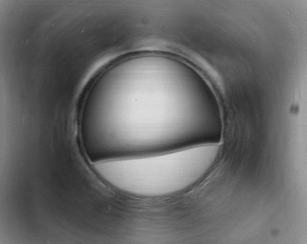 X0000103251368200808281047