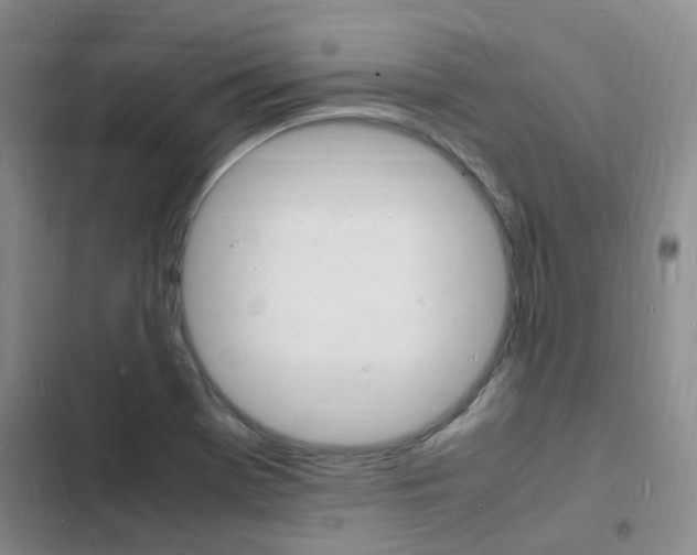 X0000103251369200808281047
