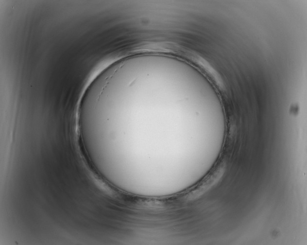 X0000103251370200808281047