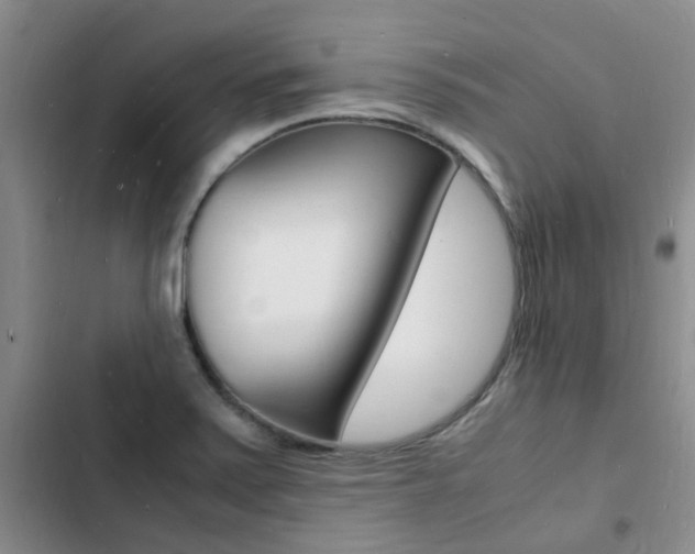X0000103251371200808281047