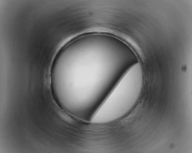 X0000103251372200808281047