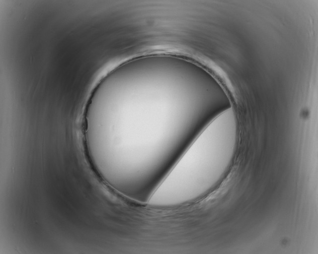 X0000103251373200808281047