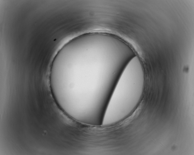 X0000103251374200808281047