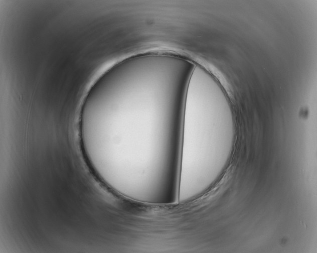 X0000103251375200808281047