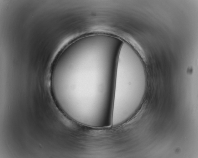 X0000103251376200808281047