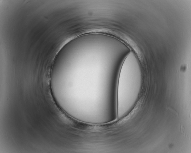 X0000103251377200808281047