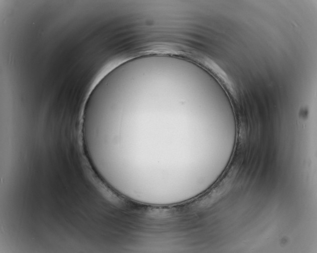 X0000103251378200808281047