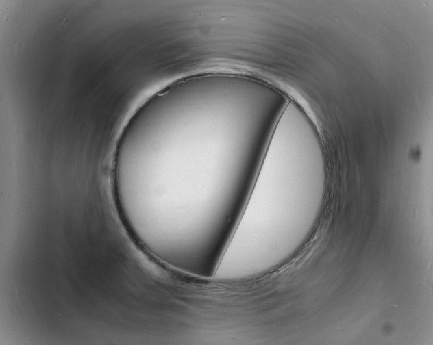 X0000103251379200808281047