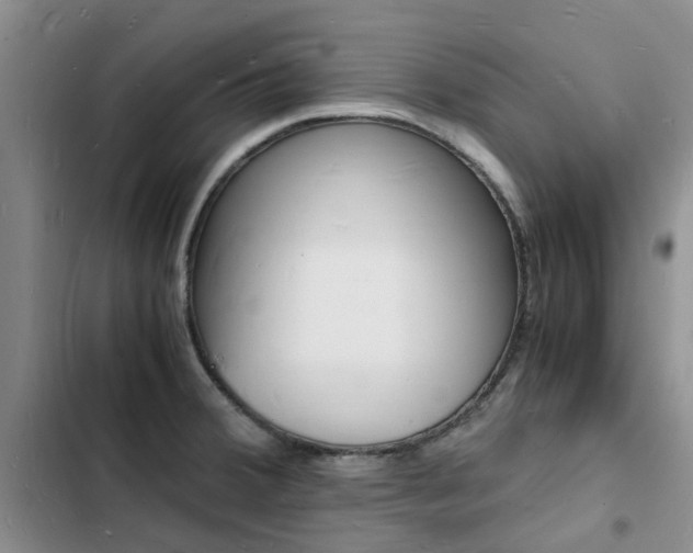 X0000103251380200808281047