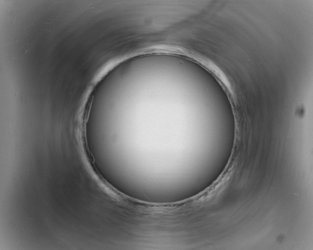 X0000103251381200808281047