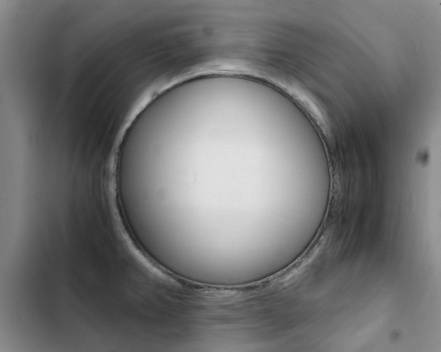 X0000103251382200808281047