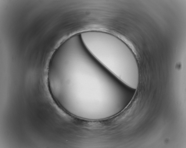 X0000103251383200808281047