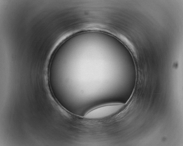 X0000103251384200808281047
