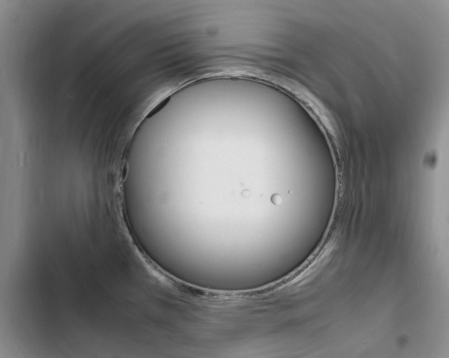 X0000103251385200808281047