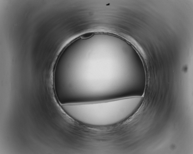X0000103251388200808281046