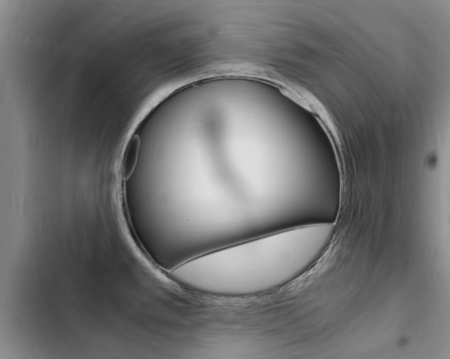 X0000103251389200808281046