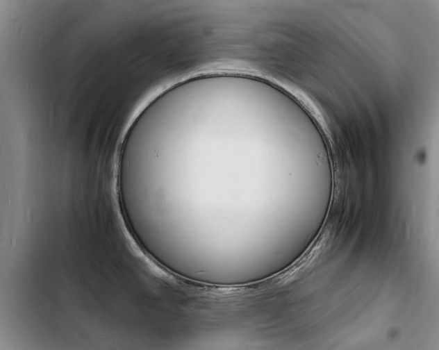 X0000103251390200808281046