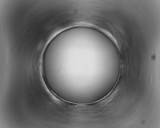 X0000103251391200808281046