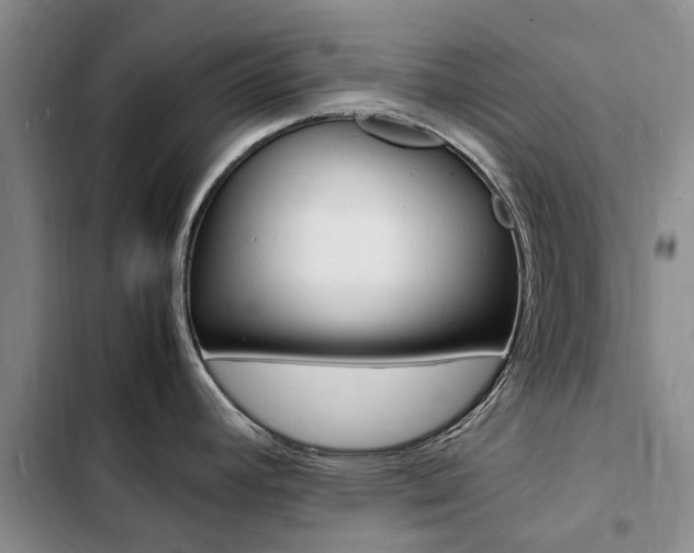 X0000103251392200808281046