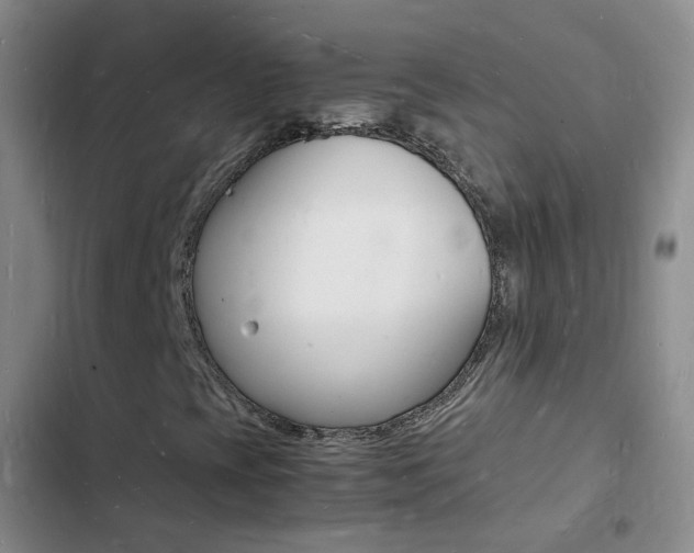 X0000103251393200808281046