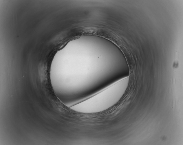X0000103251394200808281046