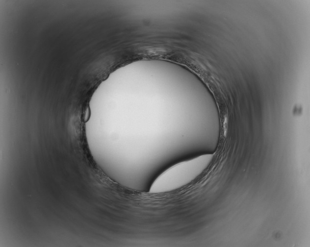 X0000103251395200808281046