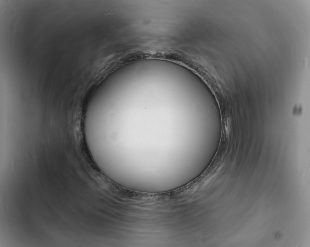 X0000103251396200808281046