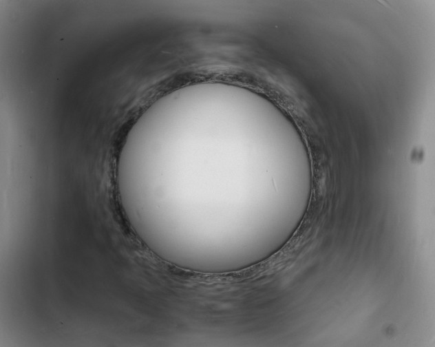 X0000103251397200808281046