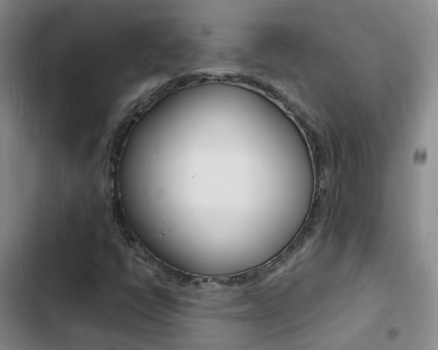 X0000103251398200808281046