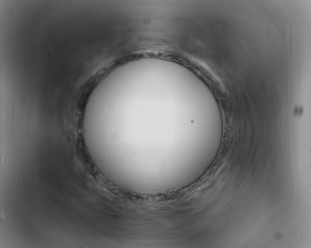 X0000103251399200808281046