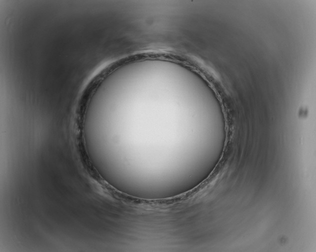 X0000103251400200808281046