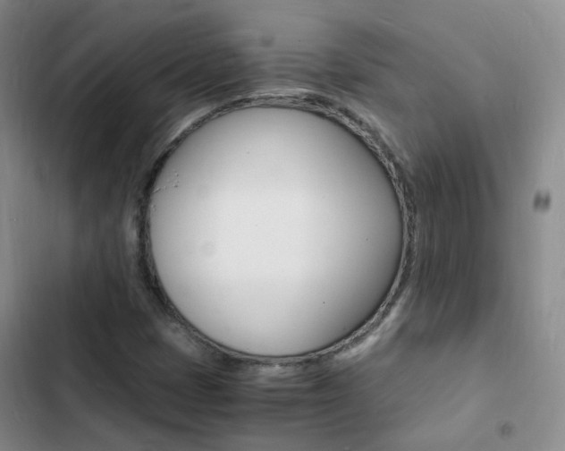 X0000103251401200808281046
