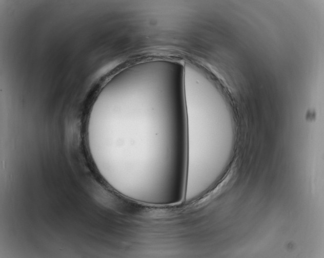 X0000103251402200808281046