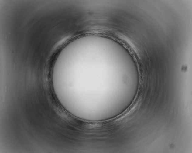X0000103251403200808281046