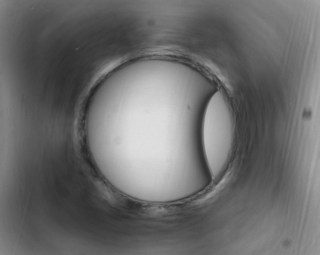 X0000103251405200808281046