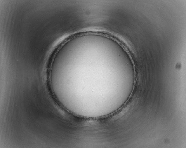 X0000103251406200808281046
