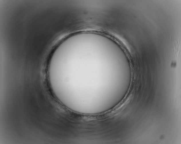 X0000103251407200808281046