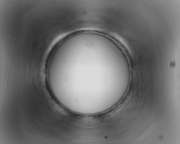 X0000103251408200808281046