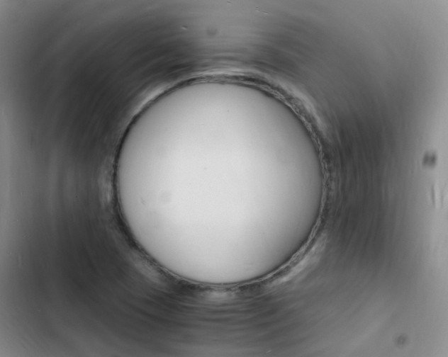 X0000103251409200808281046