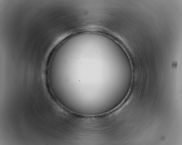 X0000103251410200808281046