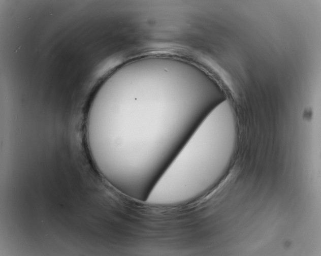 X0000103251411200808281046